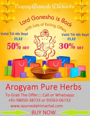Lord Ganesha is Back with Exciting Offers